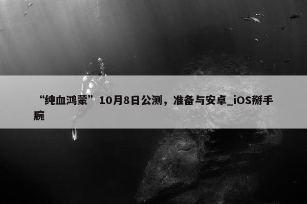 “纯血鸿蒙”10月8日公测，准备与安卓_iOS掰手腕